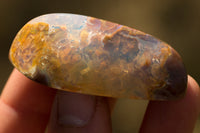 222 ct Free form  Landscape Opal Carving from Opal Butte, Morrow County, Oregon