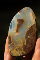 342 ct Landscape Opal from Opal Butte, Morrow County, Oregon with jasper inclusions