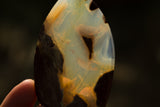 342 ct Landscape Opal from Opal Butte, Morrow County, Oregon with jasper inclusions