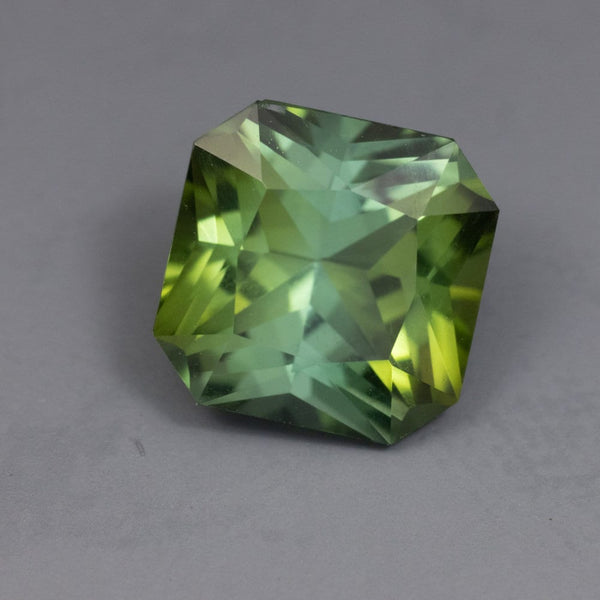 IG* 7.5mm Green Loose Faceted Tourmaline from the Congo